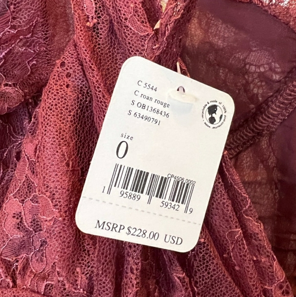 **Only size 2 left!!* Free People Dear Jane Embroidered Lace Dress in Roan Rouge - Picture 9 of 16